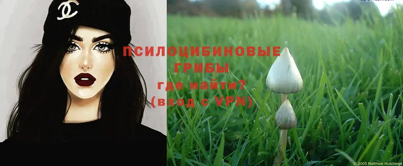 Галлюциногенные грибы Magic Shrooms  Серов 